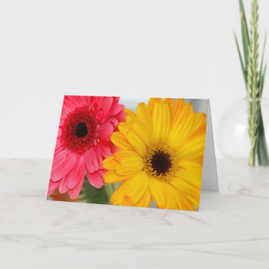 Gerber Daises Friendship Wenskaart Kaart (Voorkant)