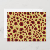 Gerber Daisies Briefkaart (Voorkant / Achterkant)