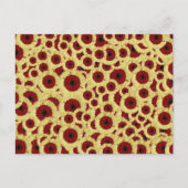 Gerber Daisies Briefkaart (Voorkant)