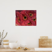 Gerber Daisies Poster (Keuken)