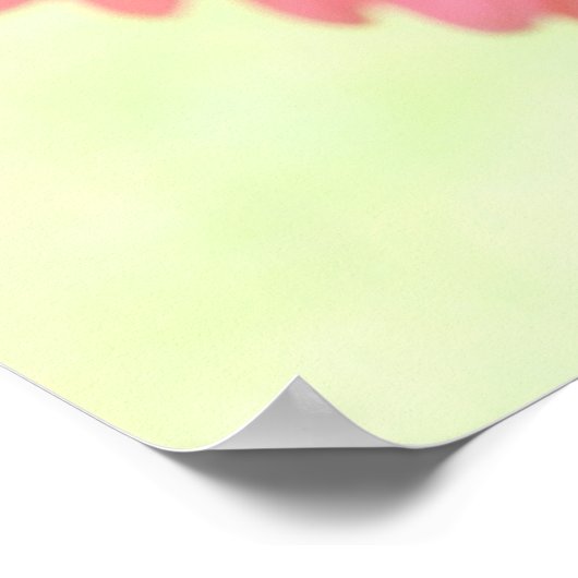 Gerber Daisies Poster Print (Hoek)