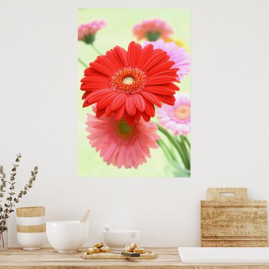 Gerber Daisies Poster Print (Keuken)