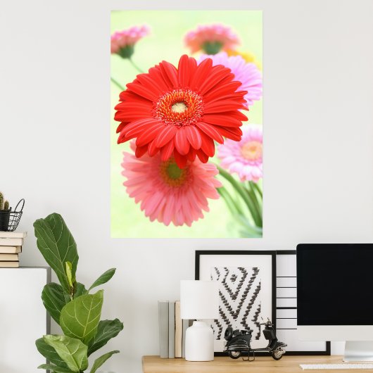 Gerber Daisies Poster Print (Thuiskantoor)