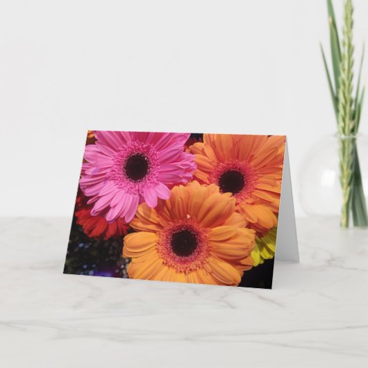 Gerber Daisies Sinaasappel Roze Note Kaart Sets (Voorkant)