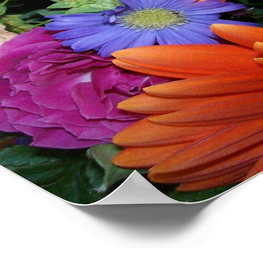 Gerber Daisy Arrangement Poster (Hoek)