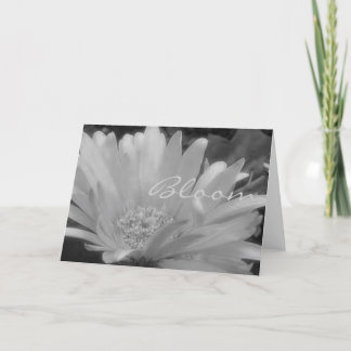 Gerber Daisy Bloom Card Kaart