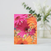 Gerber Daisy Briefkaart (Staand voorkant)