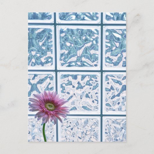 Gerber Daisy Briefkaart (Voorkant)