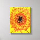 Gerber Daisy Canvas Afdruk (Voorkant)