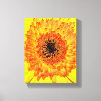 Gerber Daisy Canvas Afdruk