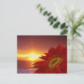 Gerber Daisy en sunset Briefkaart (Staand voorkant)