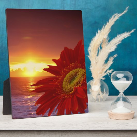 Gerber Daisy en sunset Fotoplaat (Zijkant)