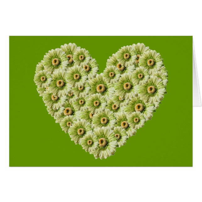 Gerber Daisy Heart (Voorkant Horizontaal)