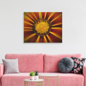 Gerber Daisy in Black Vignette Canvas (Insitu (Woonkamer))