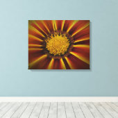 Gerber Daisy in Black Vignette Canvas Afdruk (Insitu (Houten vloer))