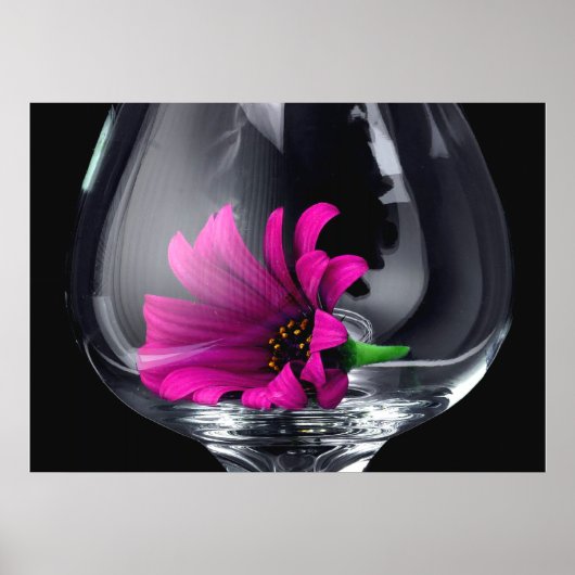 Gerber Daisy in POSTER of KAART van wijnglas (Voorkant)