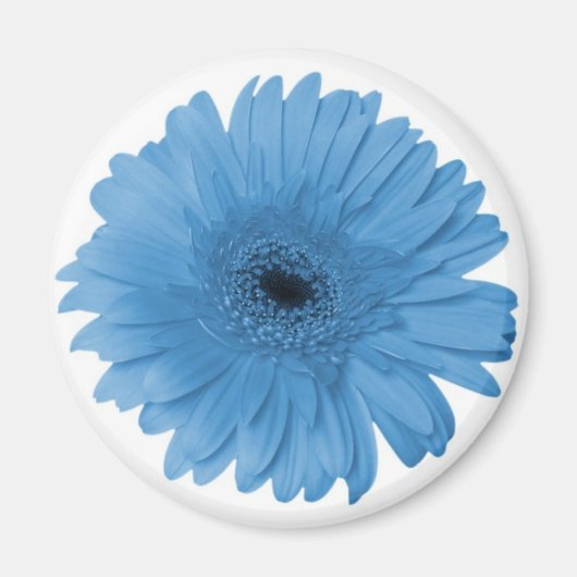 Gerber Daisy Magneet (Voorkant)