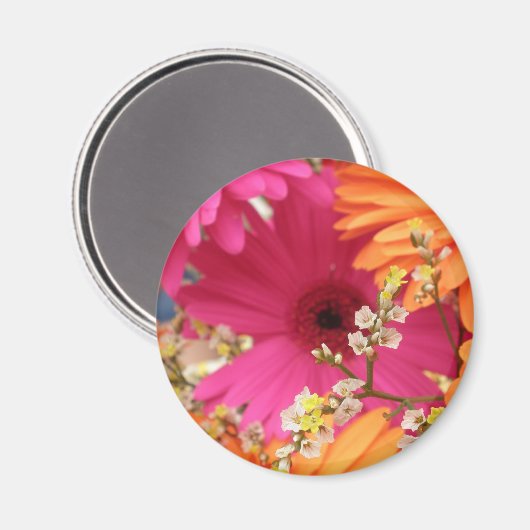 Gerber Daisy Magneet (Voorkant / Achterkant)