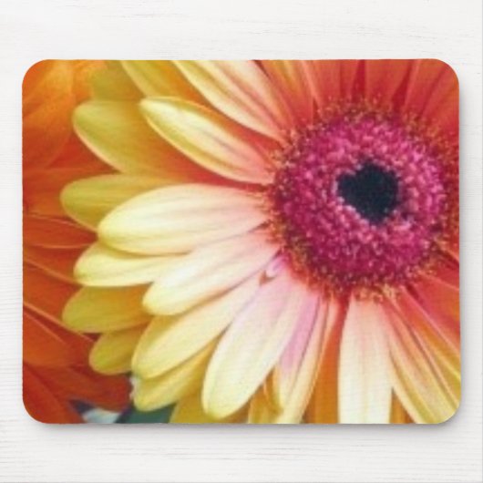 Gerber Daisy Mousepad Muismat (Voorkant)
