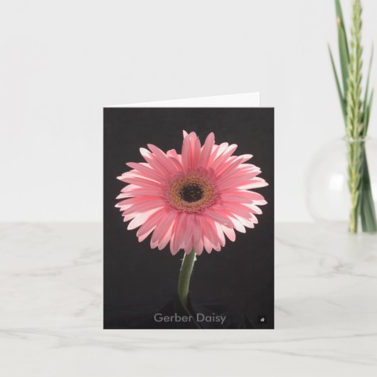 Gerber Daisy Note Card Kaart (Voorkant)
