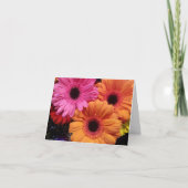 Gerber daisy oranje roze bloem notecard kaart (Voorkant)