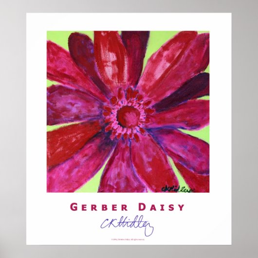Gerber Daisy Poster (Voorkant)