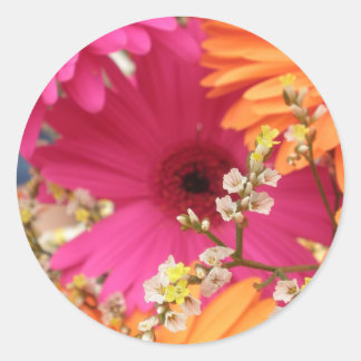 Gerber Daisy Ronde Sticker