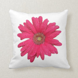 Gerber Daisy Sierkussen