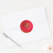 Gerber Daisy Sticker (Envelop)