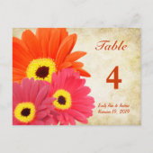 Gerber Daisy Table Number Kaart