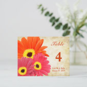 Gerber Daisy Table Number Kaart