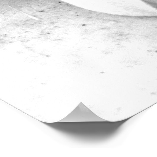 Gerber Daisy Upclose Poster (Hoek)