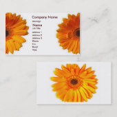 Gerber Daisy Visitekaartje (Voorkant / Achterkant)