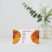 Gerber Daisy Visitekaartje (Staand voorkant)