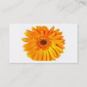 Gerber Daisy Visitekaartje (Achterkant)