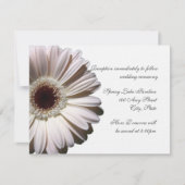 Gerber Daisy Wedding Kaart (Voorkant)