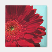 gerber magneet (Voorkant)