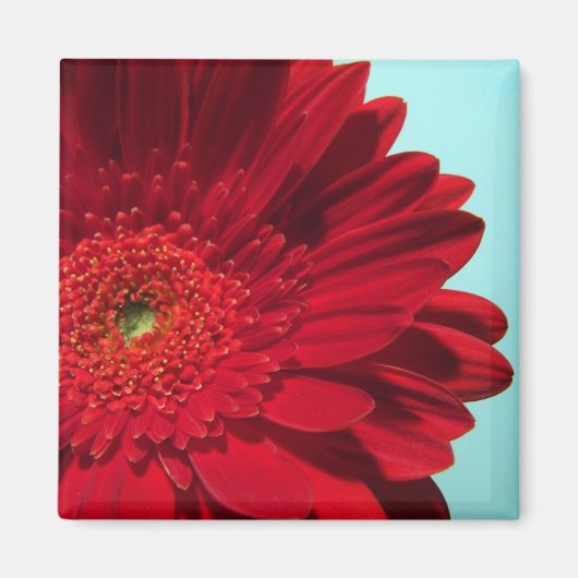 gerber magneet (Voorkant)