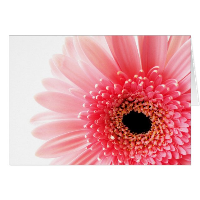 Gerbera (Voorkant Horizontaal)