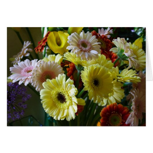 Gerbera (Voorkant Horizontaal)