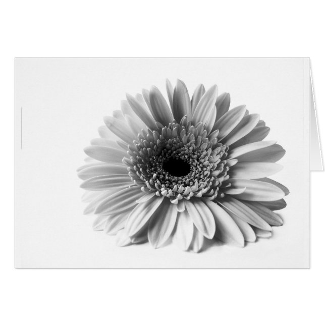 Gerbera (Voorkant Horizontaal)