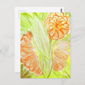 Gerbera and Aspidistra elatior, Briefkaart (Voorkant / Achterkant)