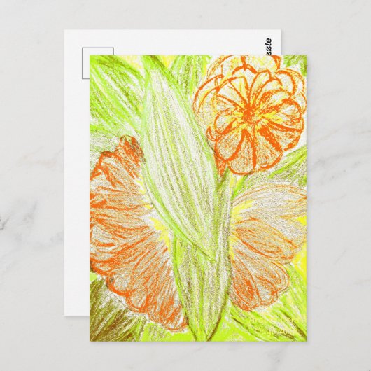 Gerbera and Aspidistra elatior, Briefkaart (Voorkant / Achterkant)