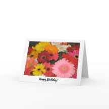 Gerbera Birthday Kaart