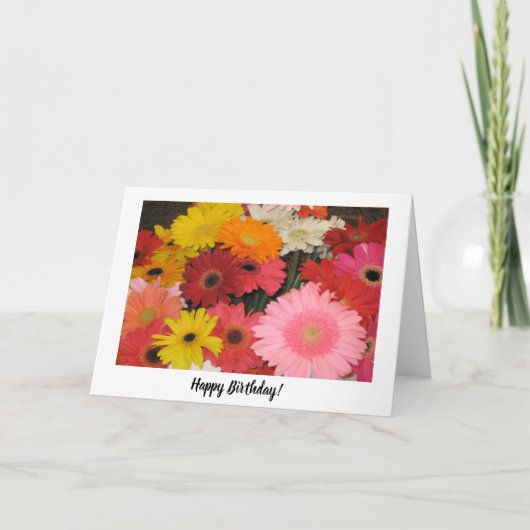 Gerbera Birthday Kaart (Voorkant)