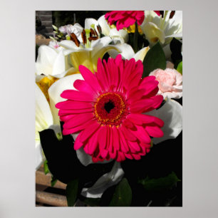 Gerbera bloem in een hoop bloemen poster