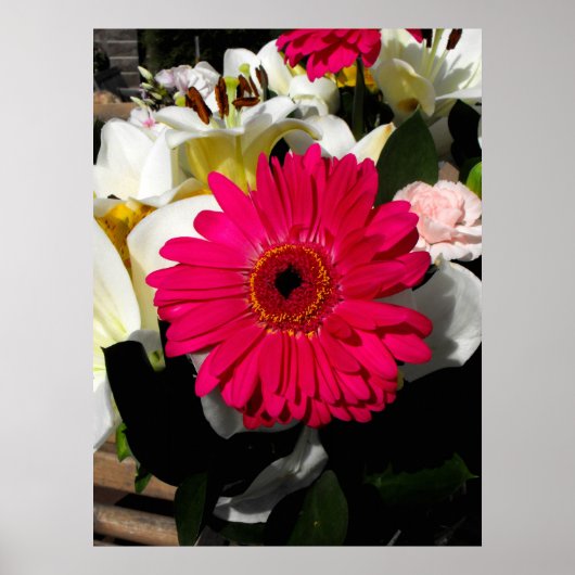 Gerbera bloem in een hoop bloemen poster (Voorkant)