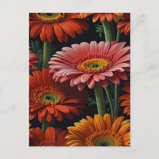 gerbera bloemen briefkaart (Voorkant)