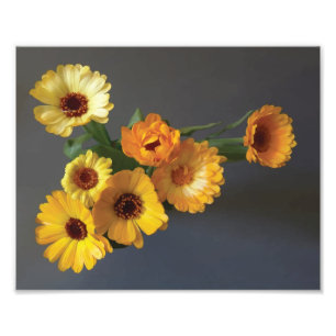 Gerbera boeketverf foto afdruk