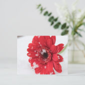 Gerbera Briefkaart (Staand voorkant)